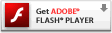 ���� Adobe Flash Player